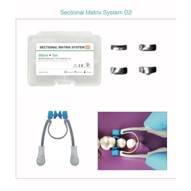 Sectional Matrix Instrument Sectional Matrix system G2 - Wali Dental Supply
